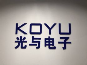 wayon维安smd贴片系列ptc保险丝